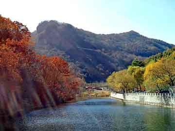 奥门天天开奖免费资料，芫芬乡村农庄